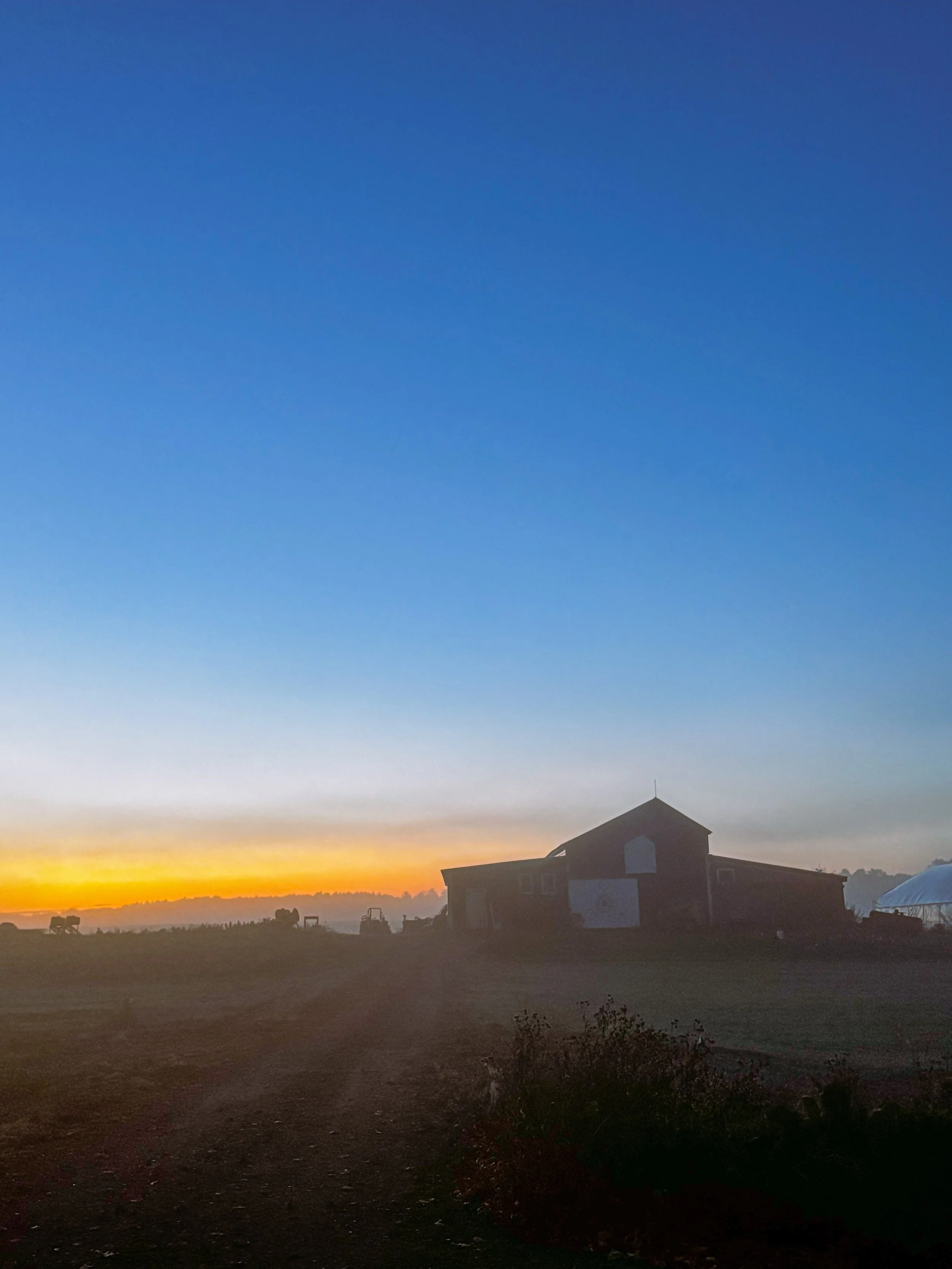 Beautiful weekend for a drive! 

Join us at Sheepscot General Store today and tomorrow, 2-5pm, for U-pick raspberries and hemp. We also have organically grown apples, lots of fresh produce, and soup and sandwiches. See you at the farm!

#SheepscotGen