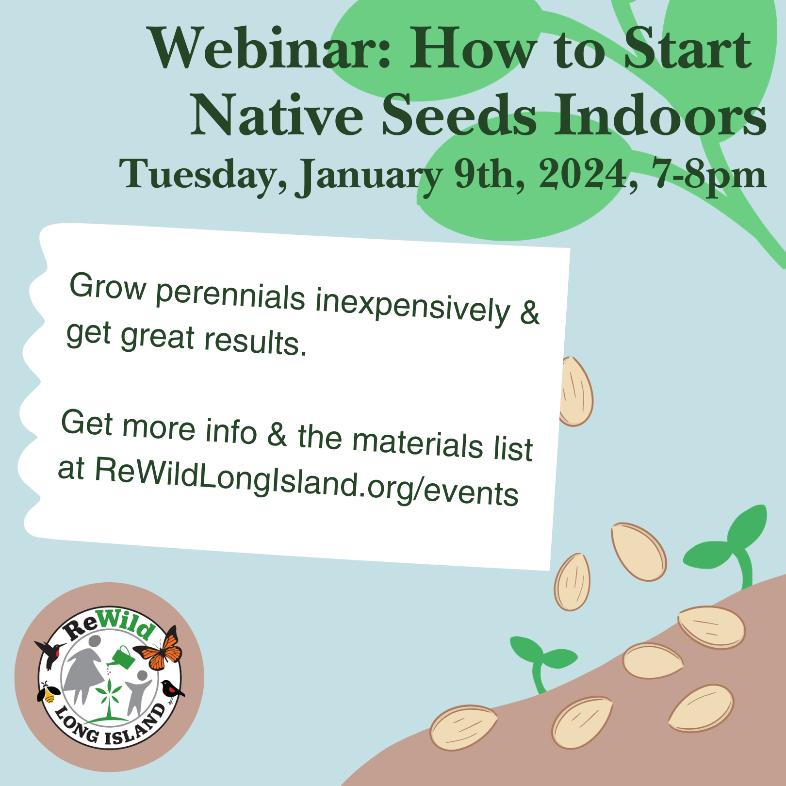 How to Start Seeds Indoors: Webinar — ReWild Long Island