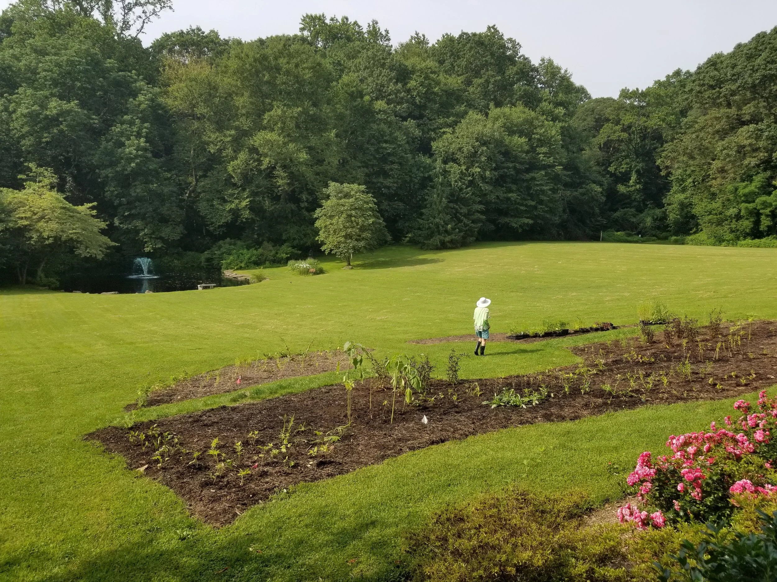 20190629_091519 1.jpg