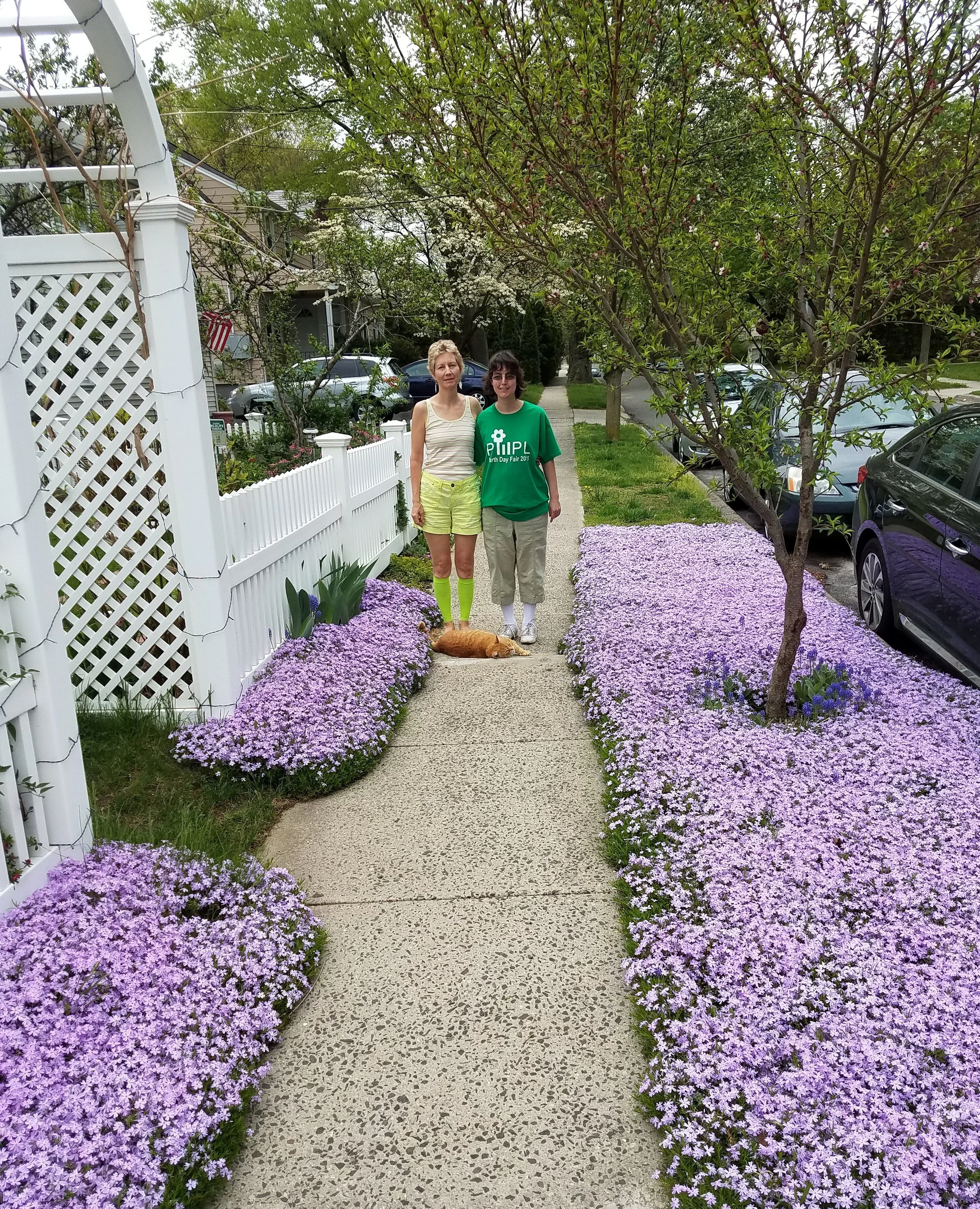 Cut the Grass! Phlox as an alternative for the median strip ....