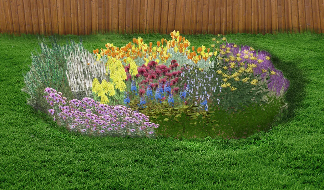Sunny Yard Design