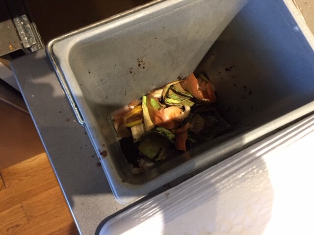 Food Scraps Disposed into Kitchen Bin