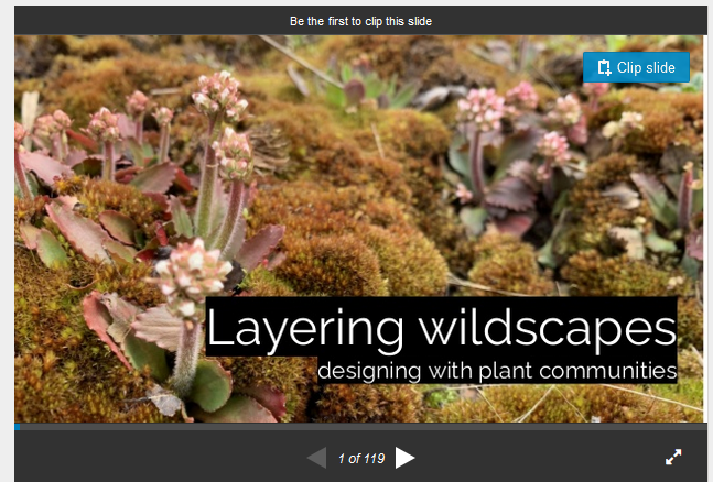 Layering Wildscapes in Your Garden  [Video]