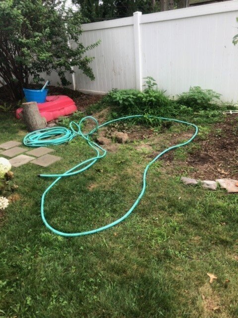Laying out the pond with garden hose, plus all those weeds
