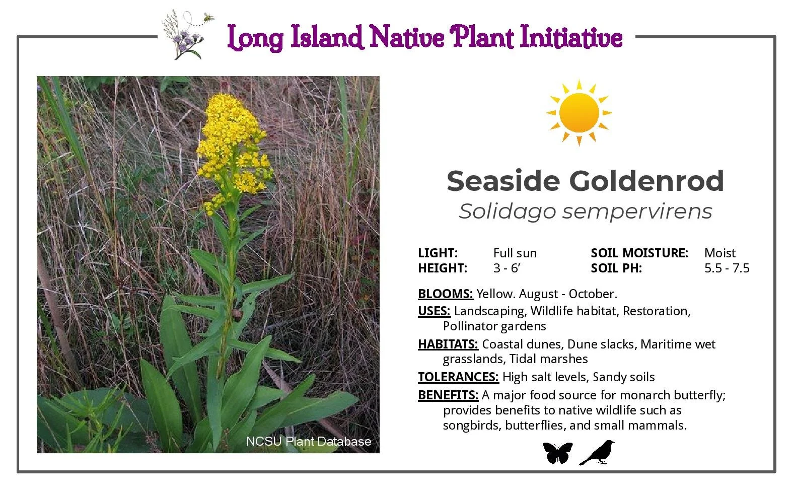 LINPI_PlantSale_SpeciesSign_remaining 2020-page-010.jpg