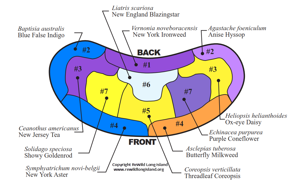 ReWild "Bee and Butterfly" Showy Sun Design by Rusty Schmidt