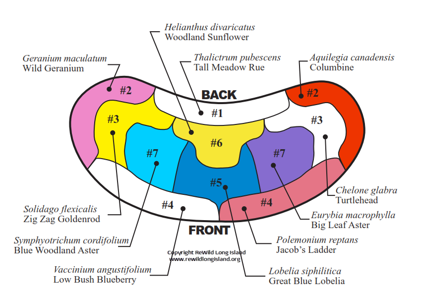 ReWild "Cool &amp; Vibrant" Shade Design