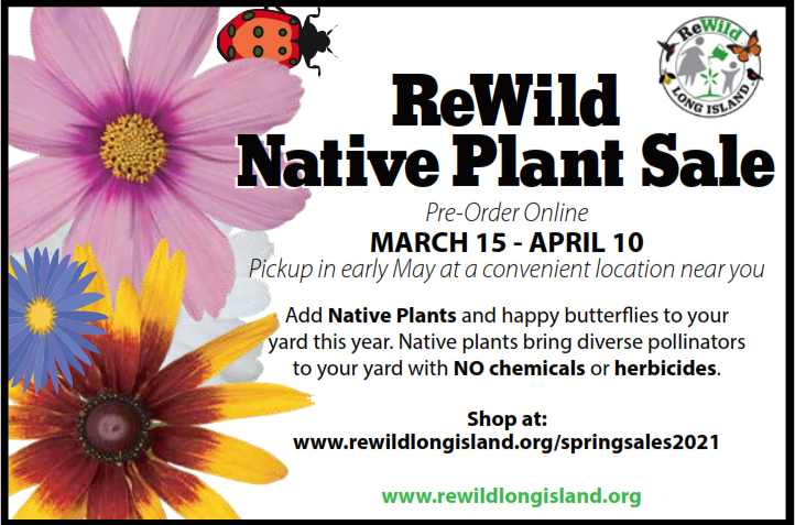 Announcement - Laura Reill.PNG