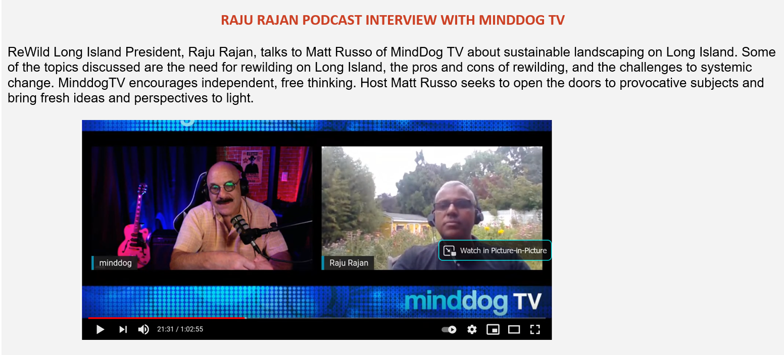 Mind Dog TV Podcast 