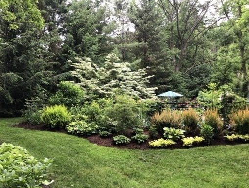 Patty's beautiful yet sterile garden in Illinois.&nbsp; 