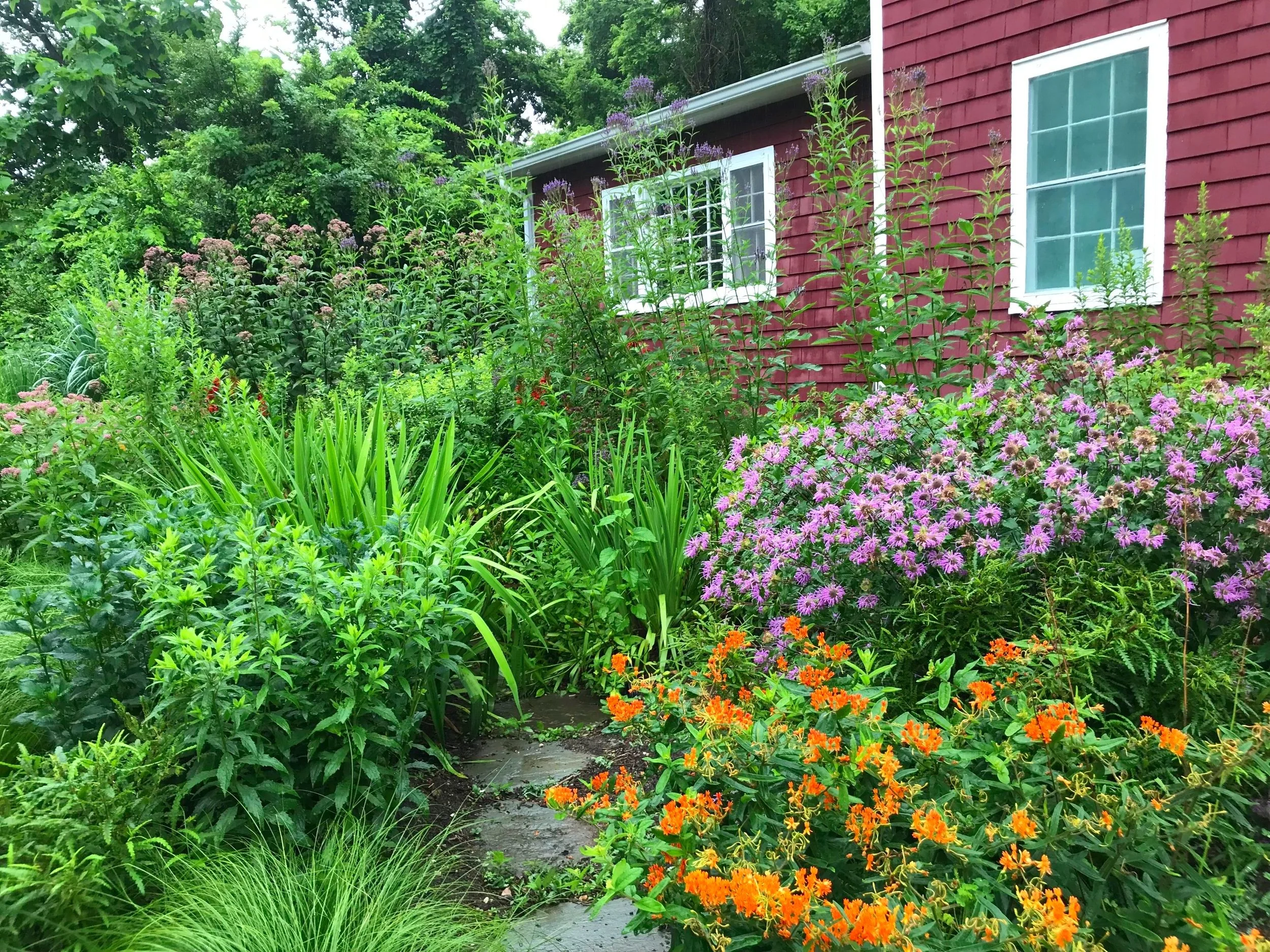 Create a Rain Garden in Your Yard: Webinar