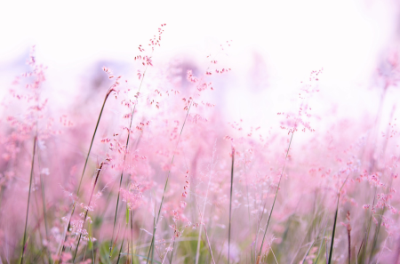 Rewild at the Preserve