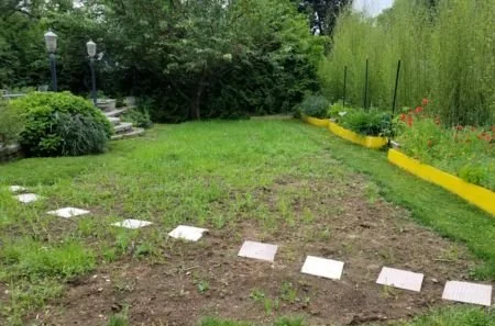 From Lawn to Habitat Campaign 