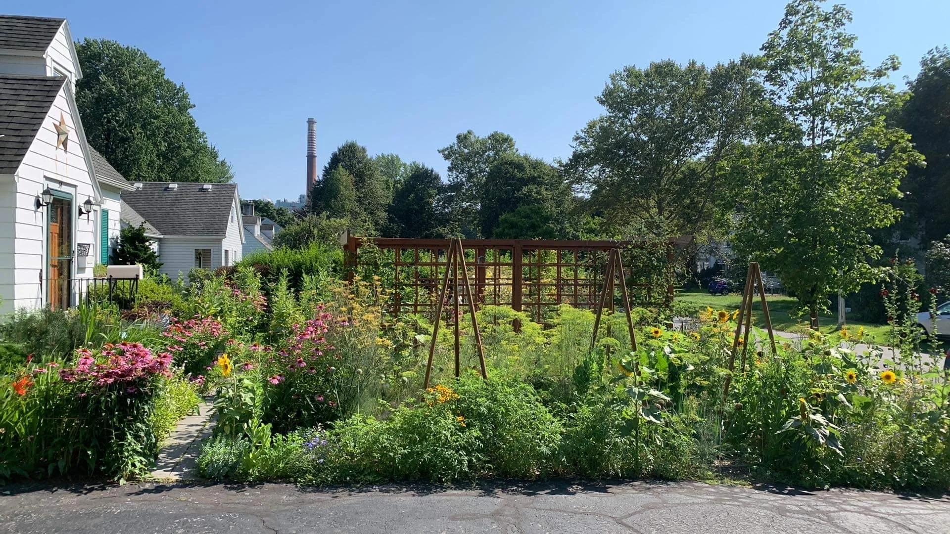 Lawn to Habitat Transformations