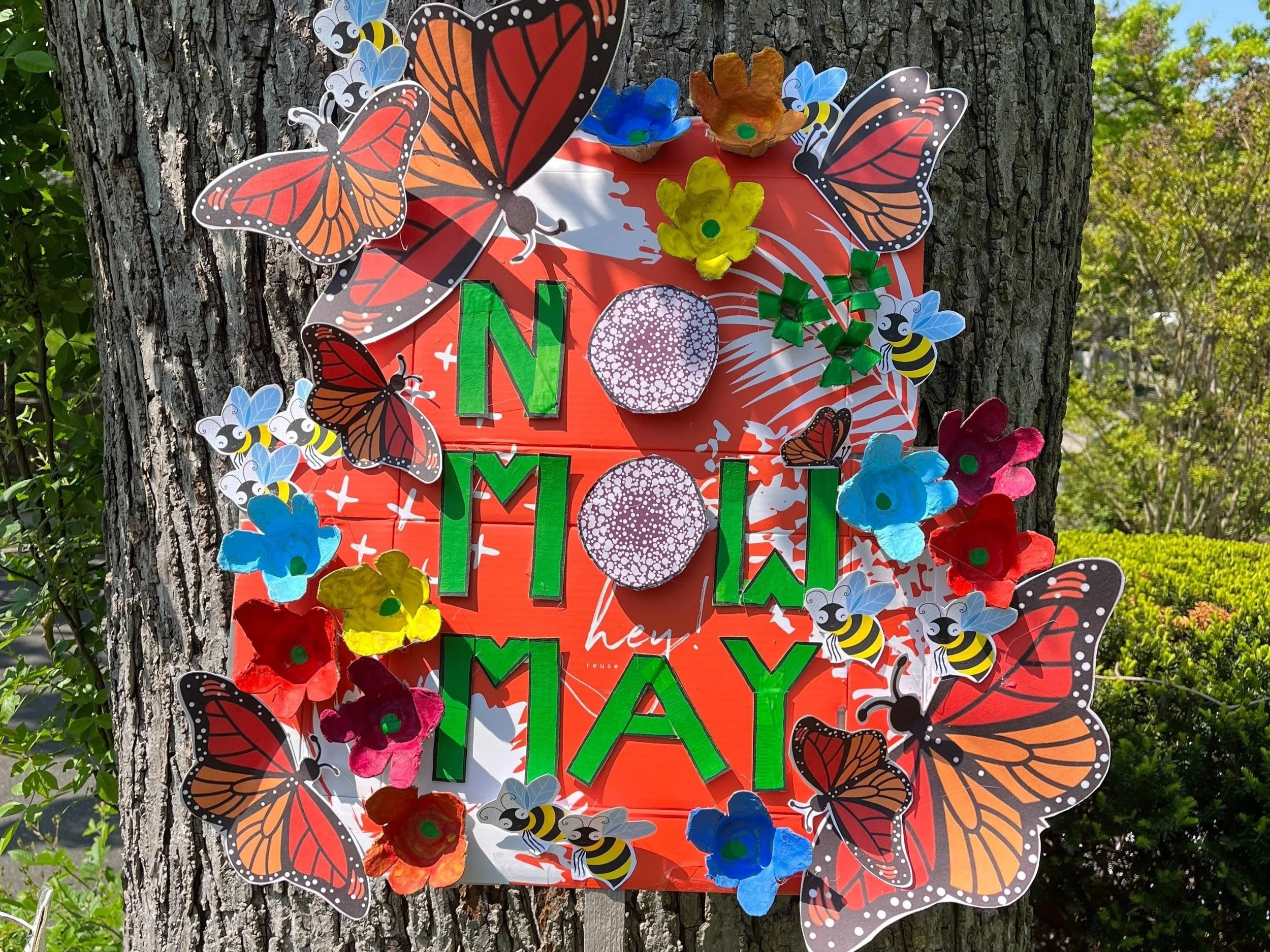 Make Your Own Great Garden Sign: Video