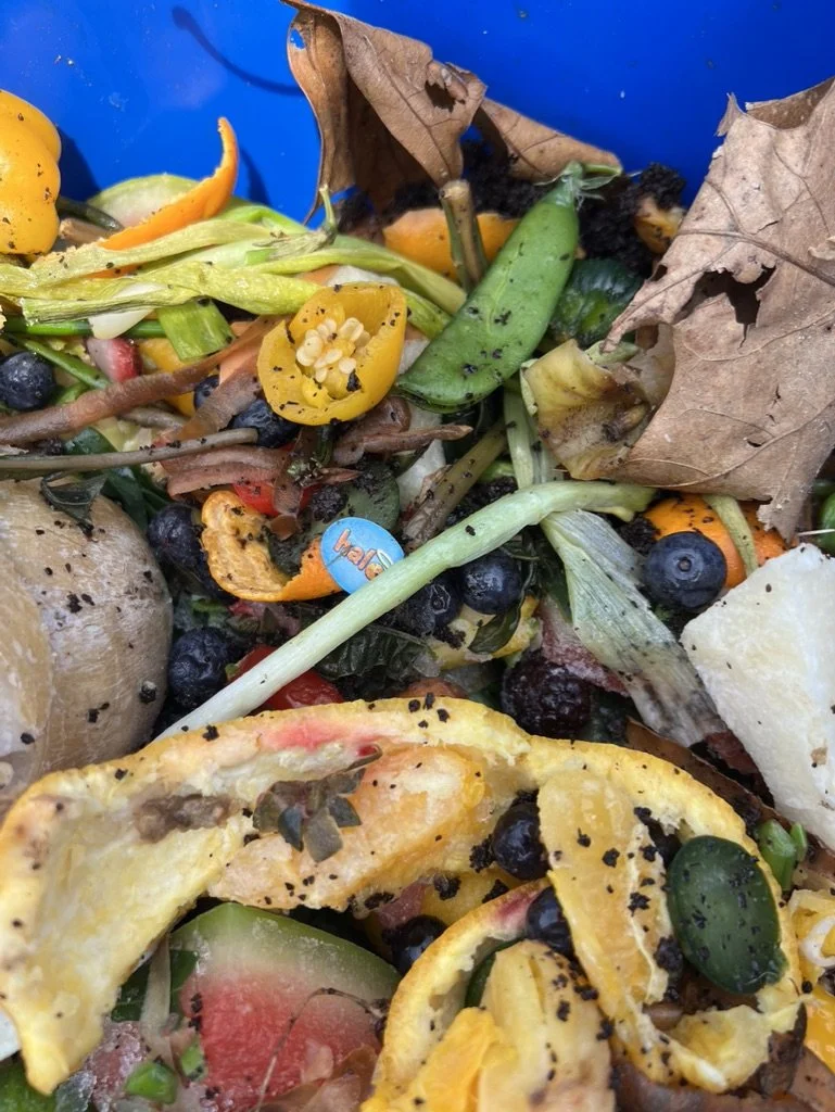 240622-SP24-EHC-Spr-BlueLabelContamination.jpeg