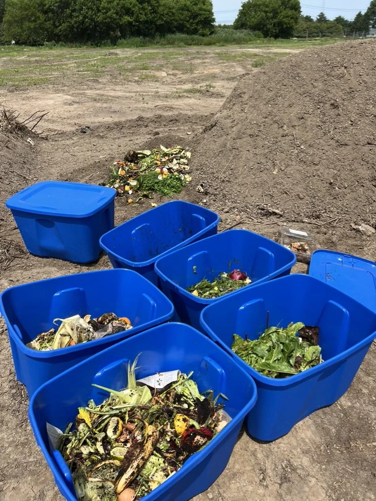 240622-SP24-EHC-Balsam-FullBins.jpeg