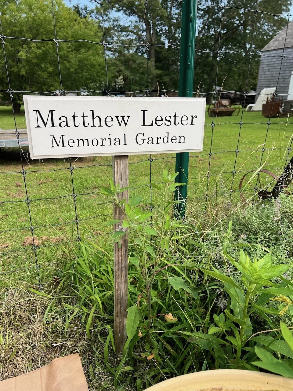 SoFo SP24 - Matthews Garden - 7.jpeg