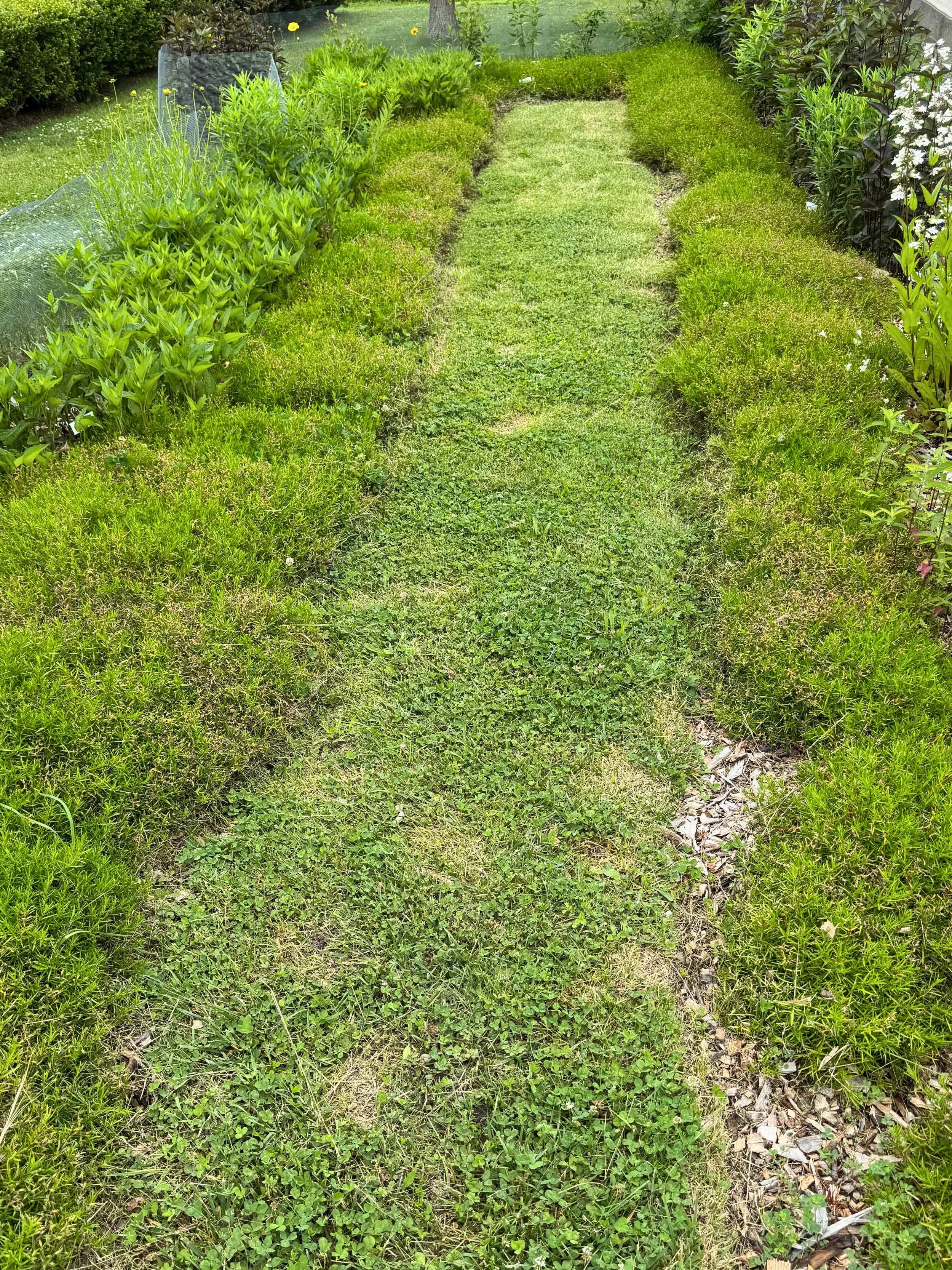 Formal Path