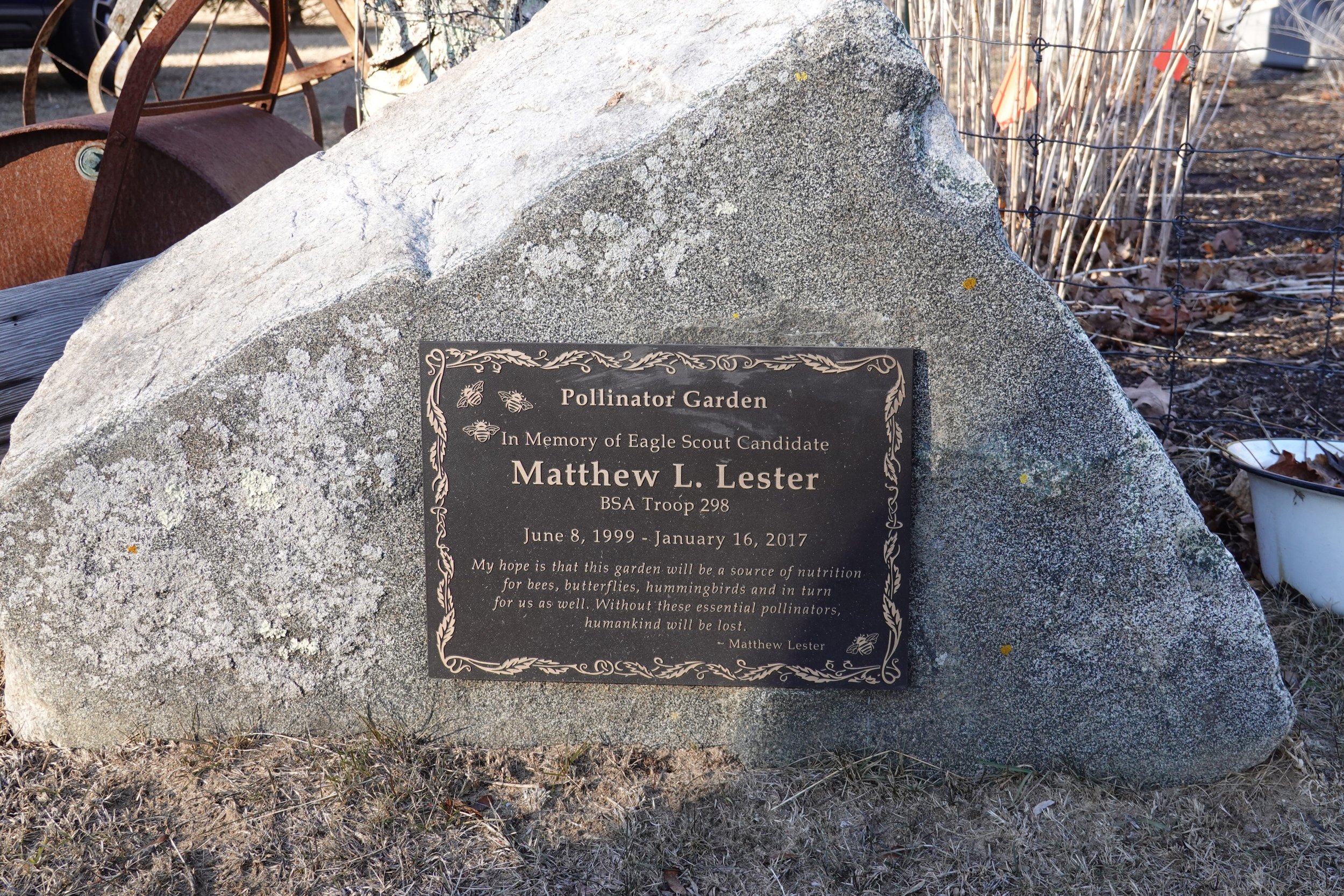 DSC02544 - Edited.jpg