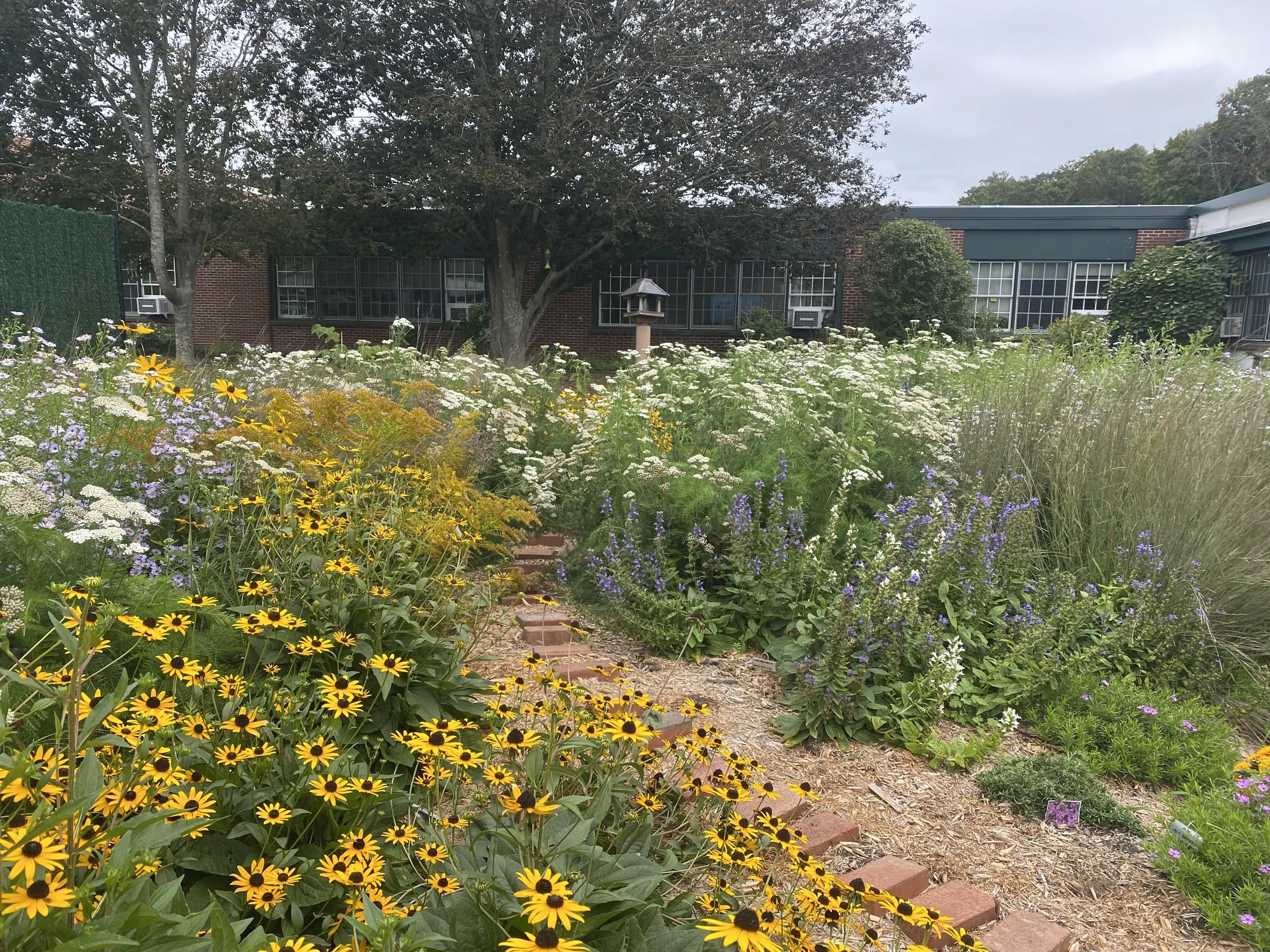 (After) Springs School, Community Garden Recipient 2025