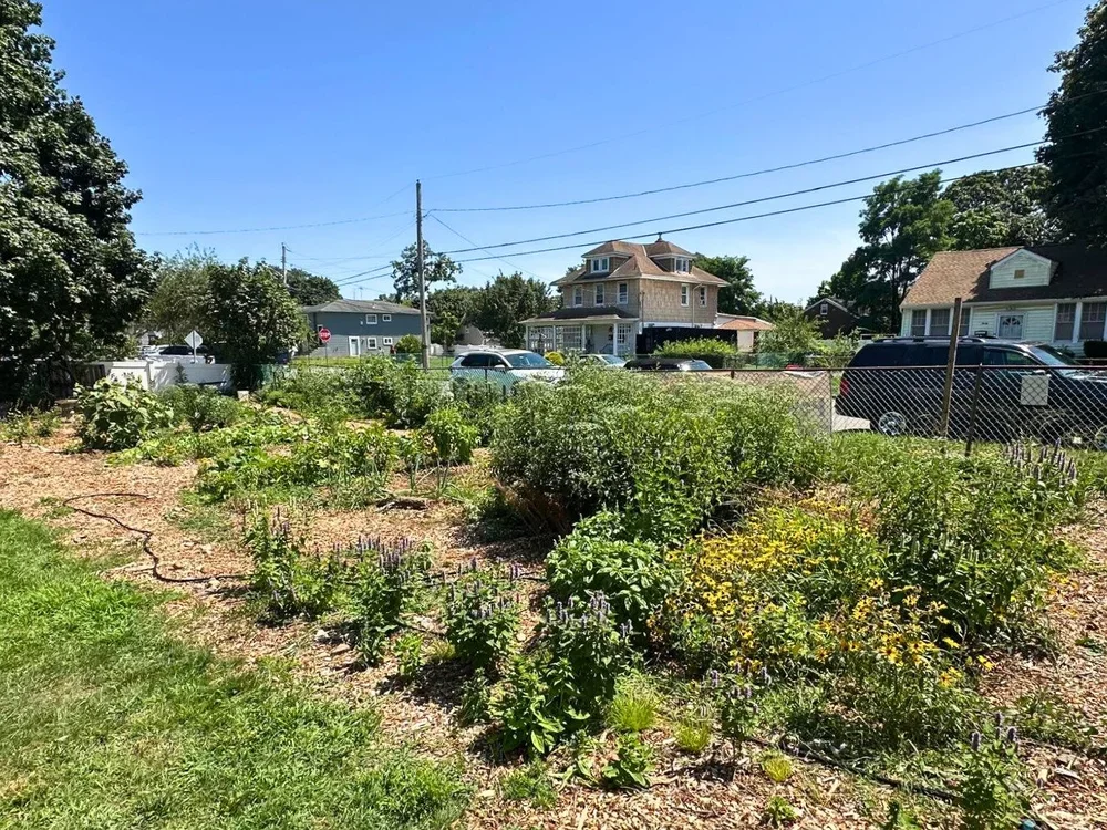 (After) Succotash Gardens, Community Garden Recipient 2025