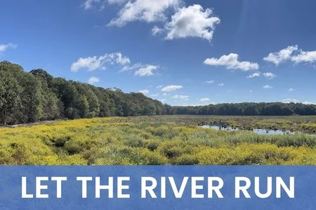 WEBINAR: Let the River Run: Restoring habitat vs. the failed Stump Pond Dam