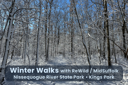 Winter Walk and Greenhouse Tour at Nissequogue River State Park