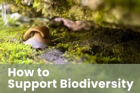 WEBINAR: How to Support Biodiversity with the author of Nature's Action Guid