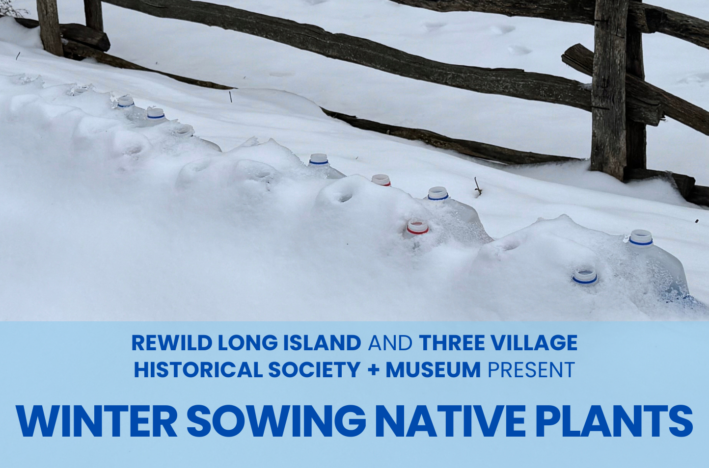 Winter Sowing Native Plants in Setauket with Three Village Historical Society