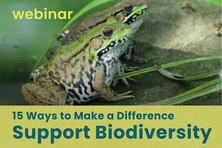 WEBINAR: 15 Practical Ways to Support Biodiversity with the author of Nature's Action Guide