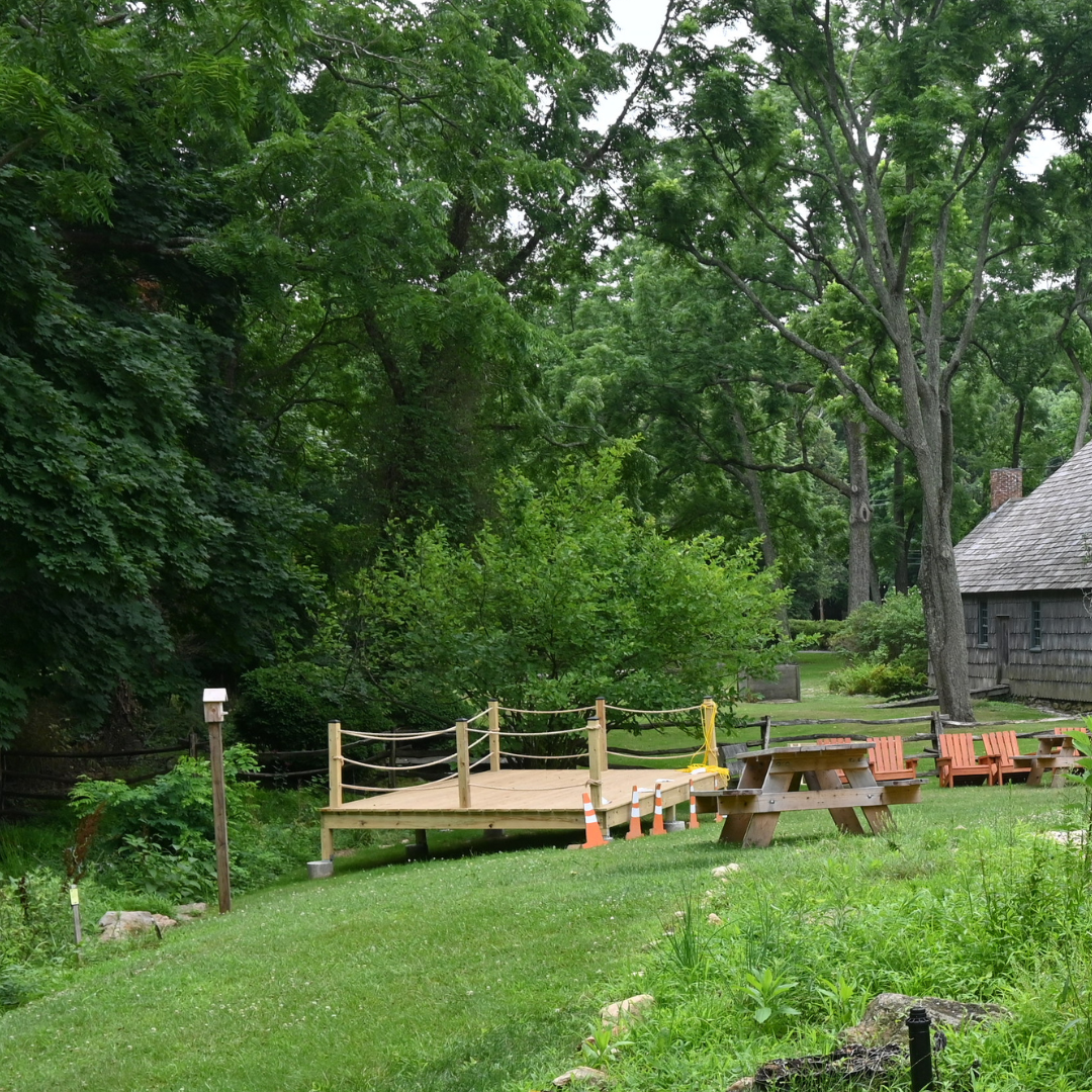 2024 Deck Summer .png