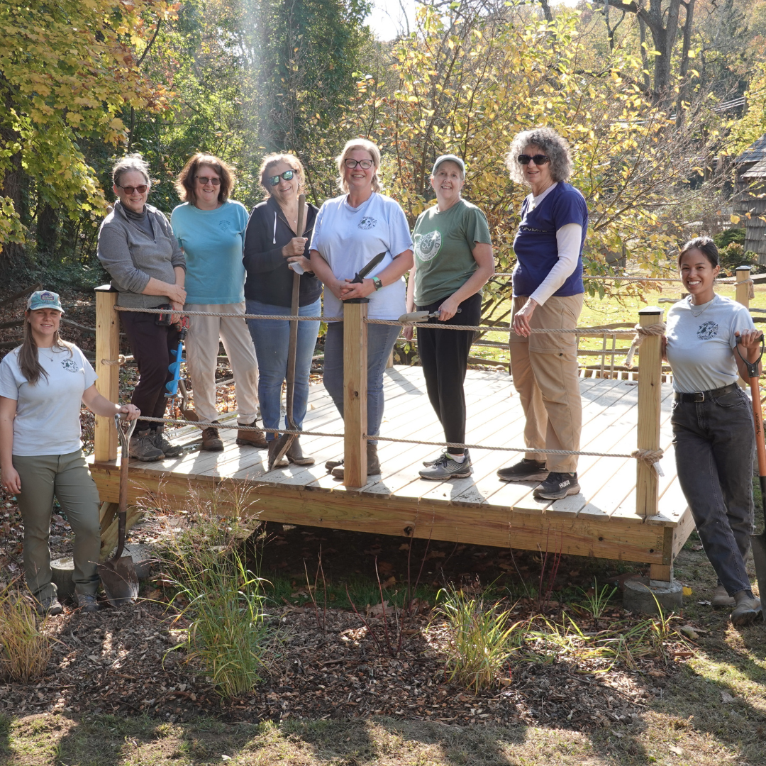 2024 Deck Planting.png