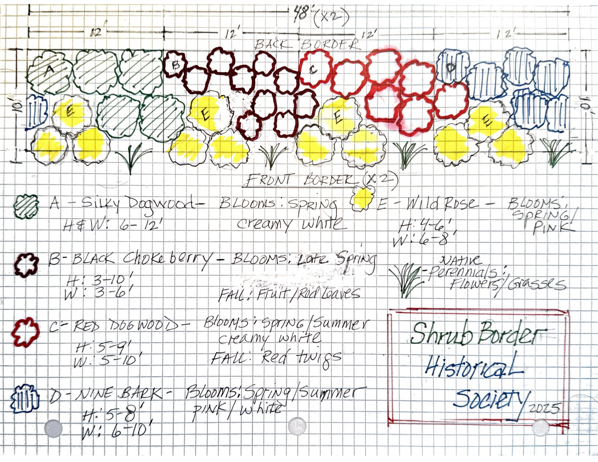 Shrub border design.png