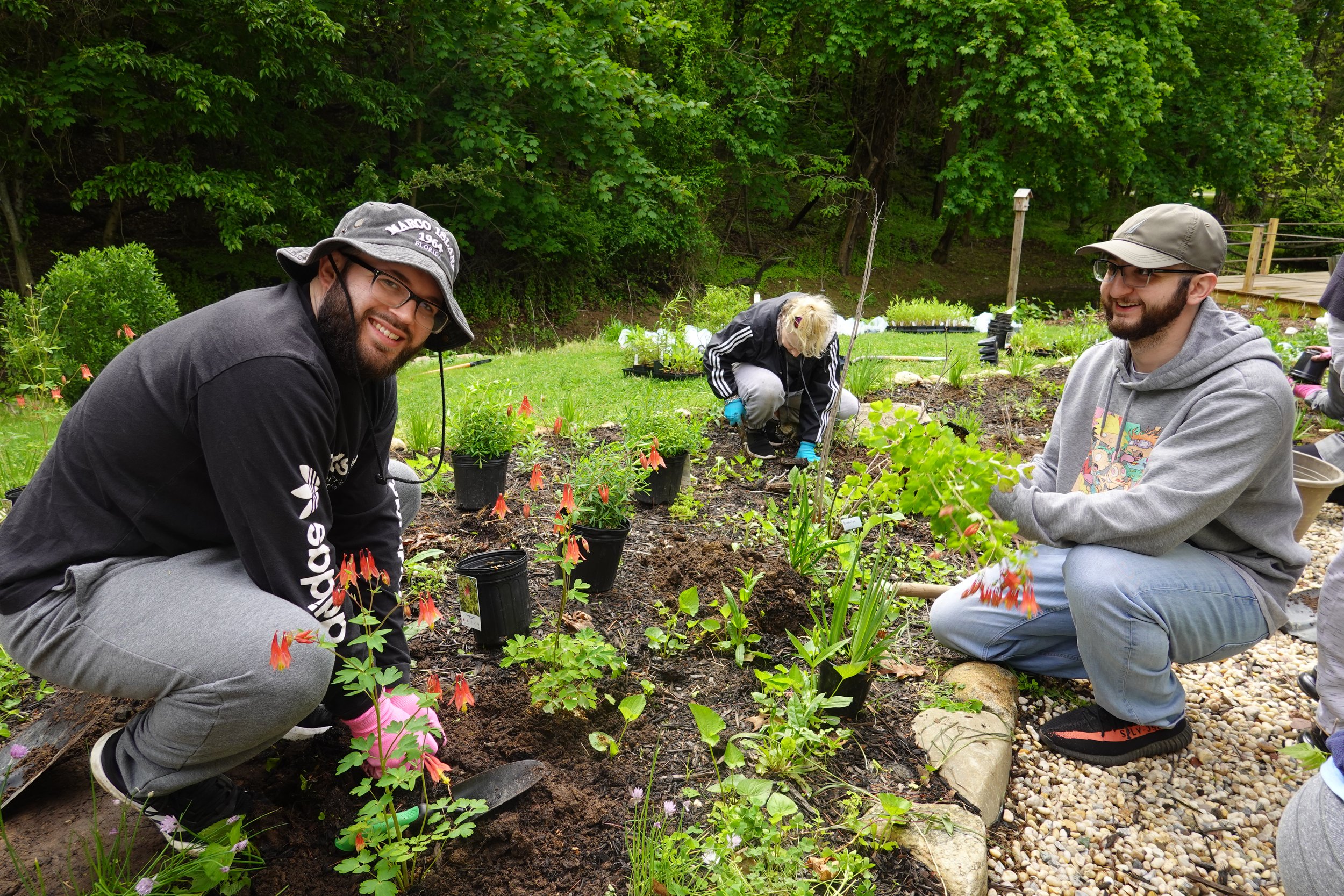 volunteers planting wild columbine.JPG