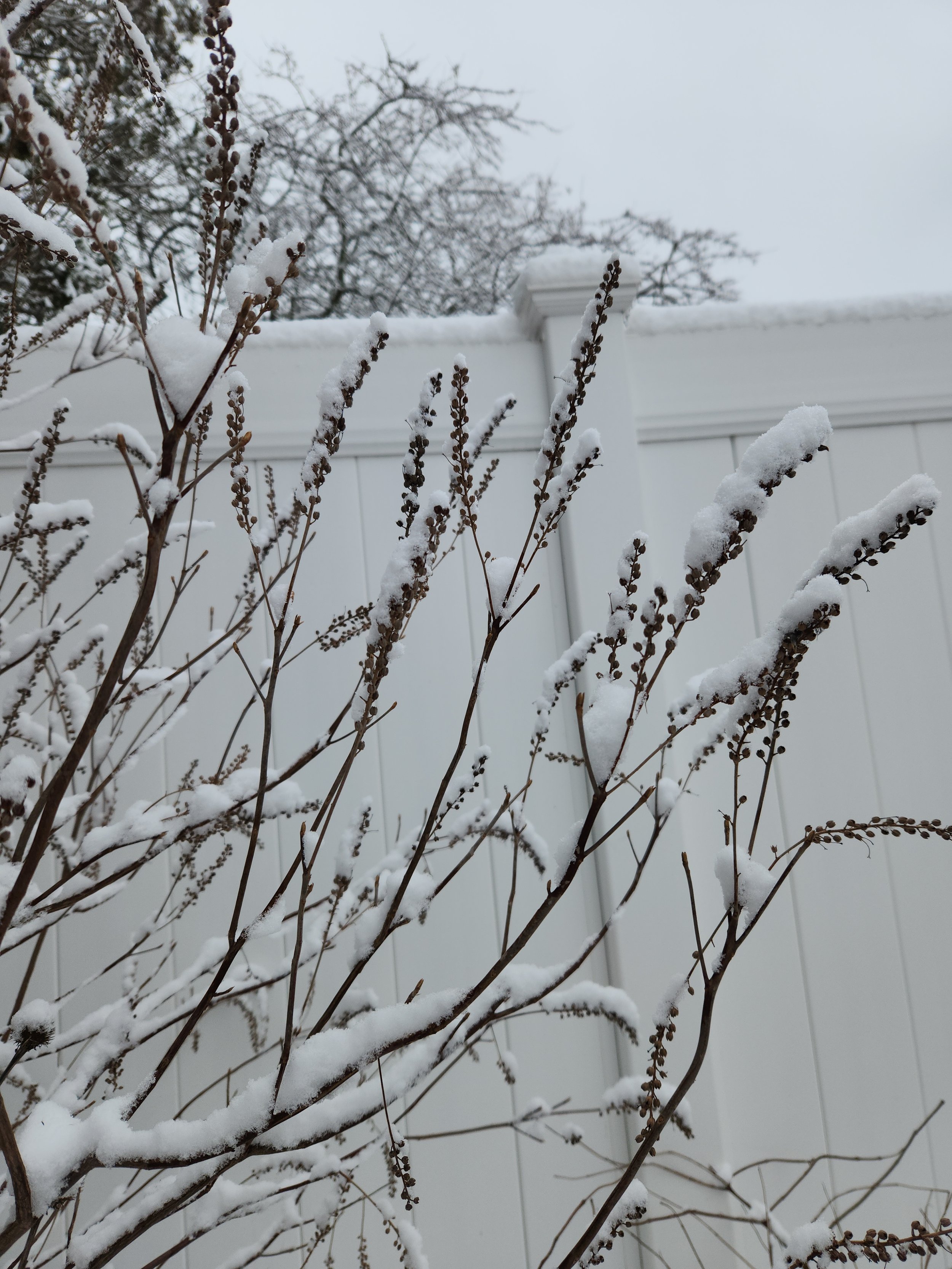 FEBRUARY 2026: Monthly CROWN Calendar 