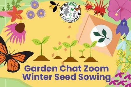 WEBINAR: Garden Chat: Winter Seed Sowing