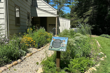 Native Plant Gardening at Three Village Historical Society, Setauket
