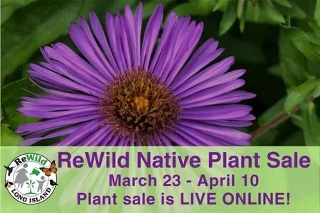 Spring Plant Sale Ordering