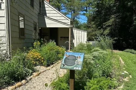 Three Village Historical Society Native Garden Maintenance, Setauket