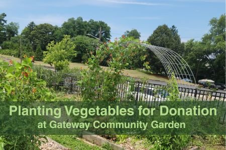 Gateway Community Garden Maintenance, Huntington Sta.