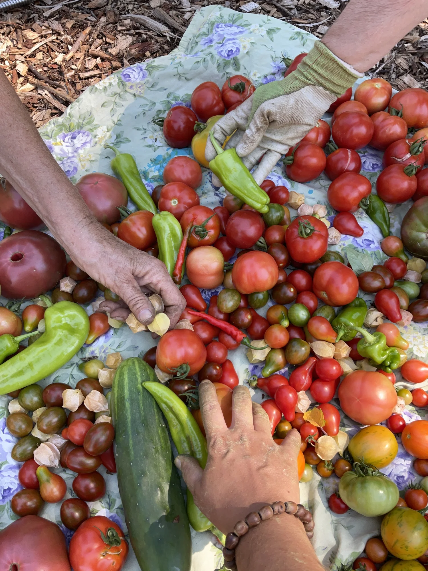 Native Plant Gardening at Valley Stream Community Garden