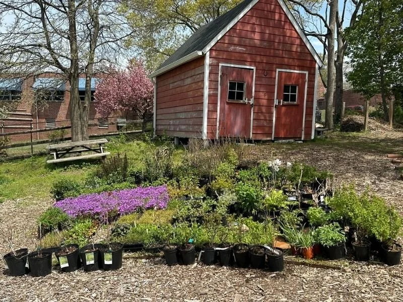 Plant Sale (1).jpg