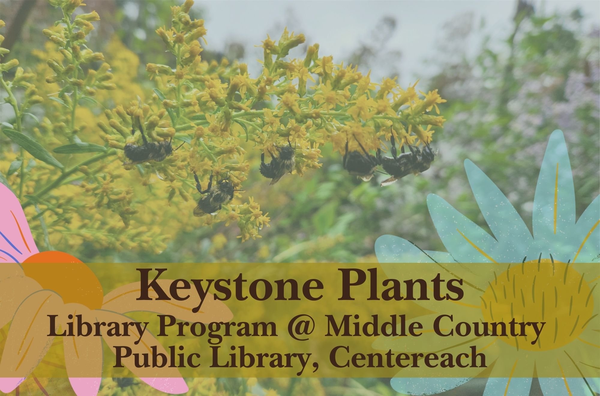 Library Talk: Keystone Plants at Middle Country Public Library, Centereach