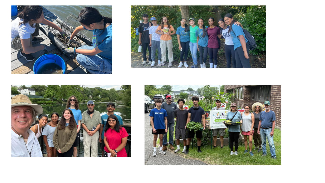 Untitled design (4).png