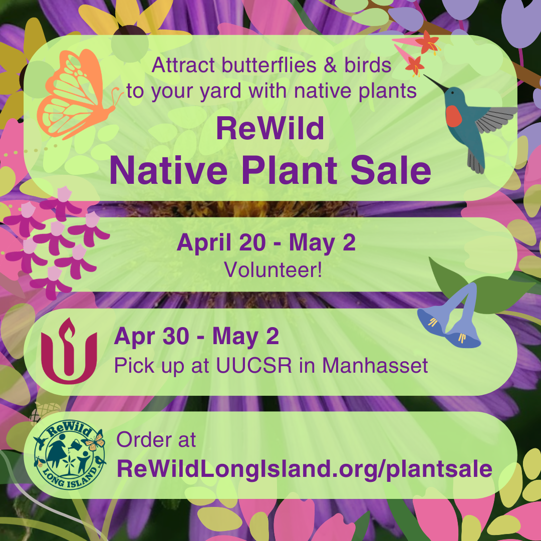 CN: Volunteer for the Spring Plant Sale!