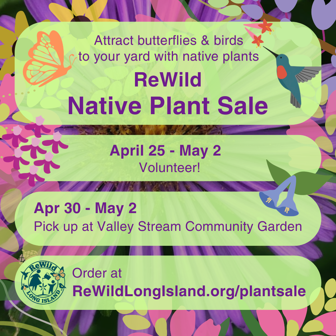 SN: Volunteer for the Spring Plant Sale! 