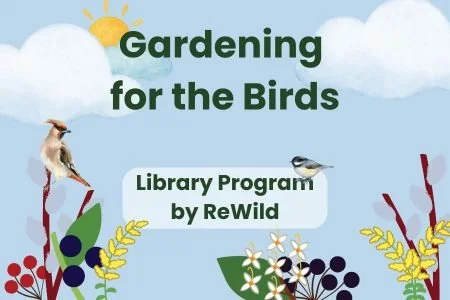 Library Talk: Gardening for the Birds @ Syosset Public Library, 