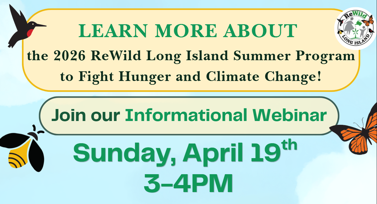 Summer Program Informational Webinar 