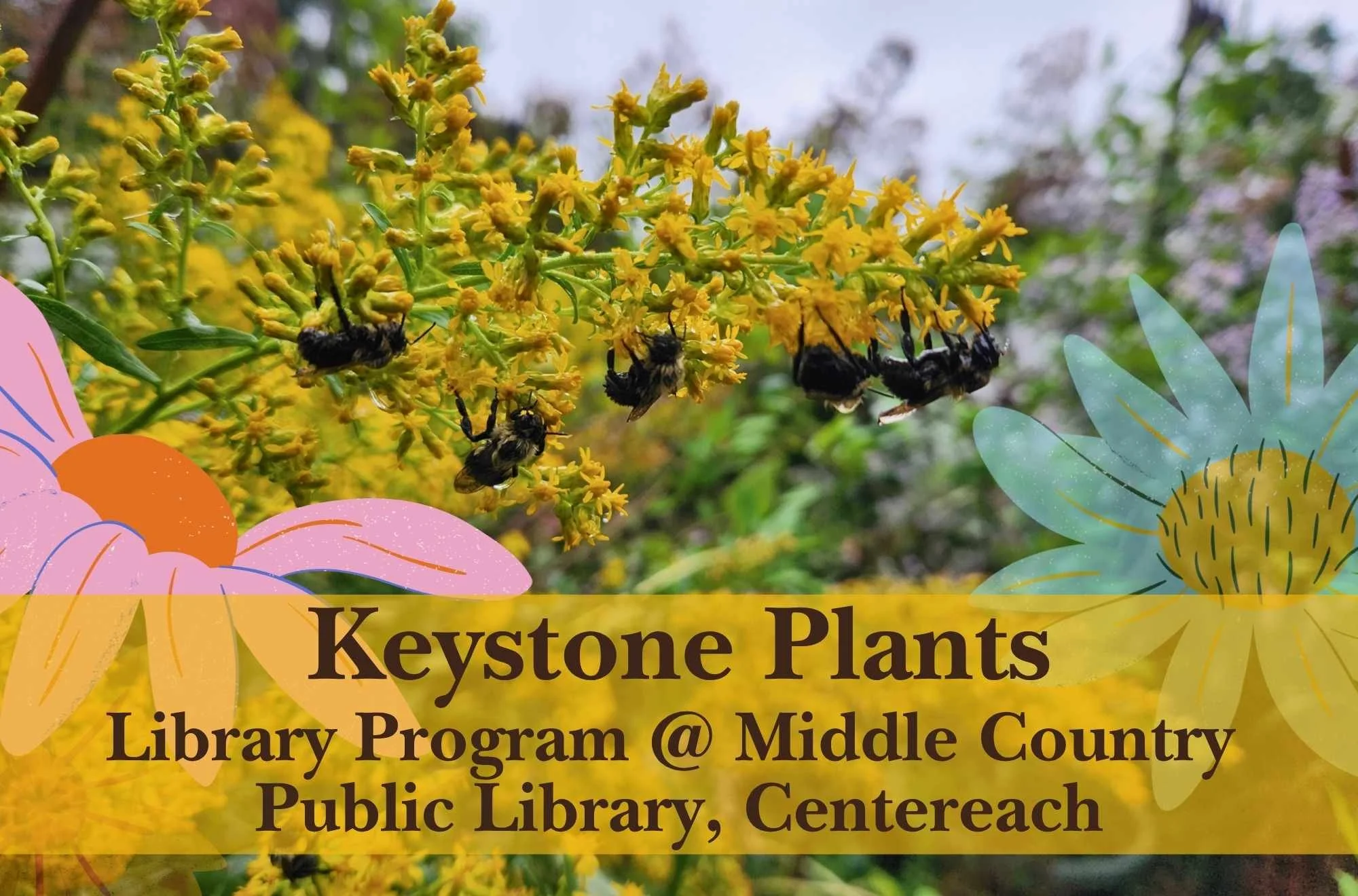 Library Talk: Keystone Plants at Middle Country Public Library, Centereach